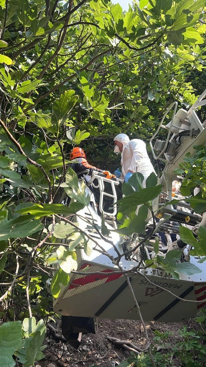 Ağaca asılı halde cesedi bulunan şahsın kimliği belirlendi