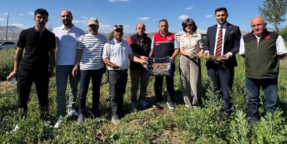 Yüksekova’da tarımda yeni dönem: Yoncalı köyünde ilk ticari salep hasadı yapıldı