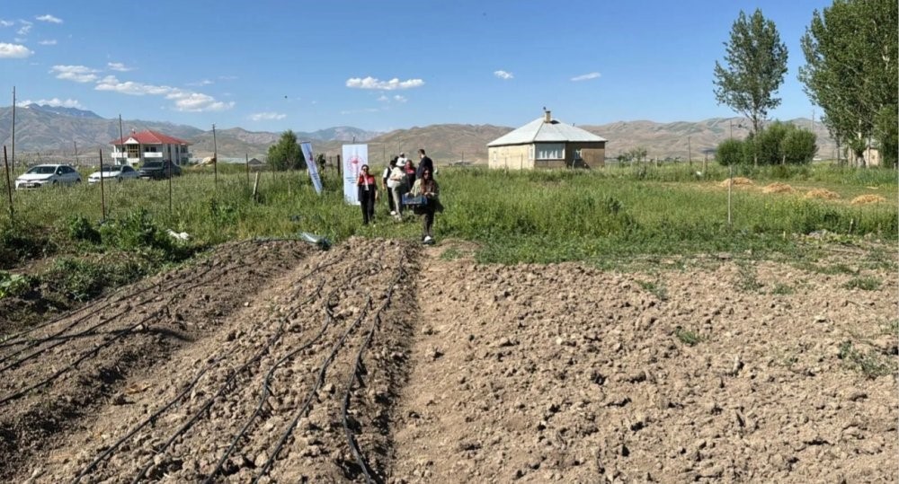 Yüksekova’da tarımda yeni dönem: Yoncalı köyünde ilk ticari salep hasadı yapıldı