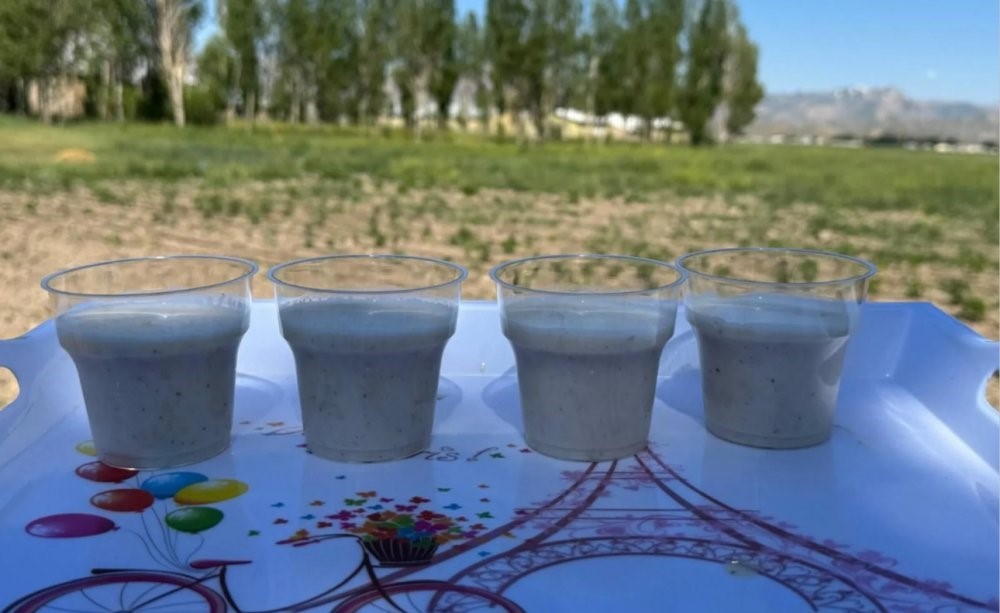 Yüksekova’da tarımda yeni dönem: Yoncalı köyünde ilk ticari salep hasadı yapıldı