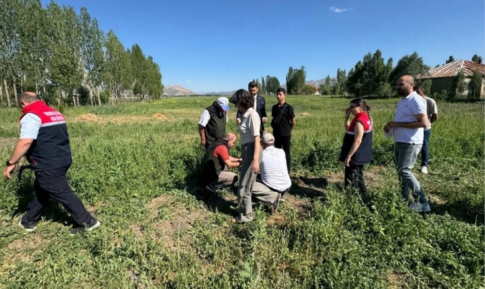 Yüksekova’da tarımda yeni dönem: Yoncalı köyünde ilk ticari salep hasadı yapıldı