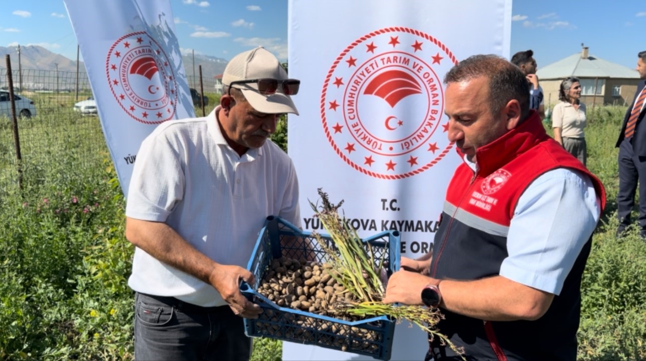 Yüksekova’da tarımda yeni dönem: Yoncalı köyünde ilk ticari salep hasadı yapıldı