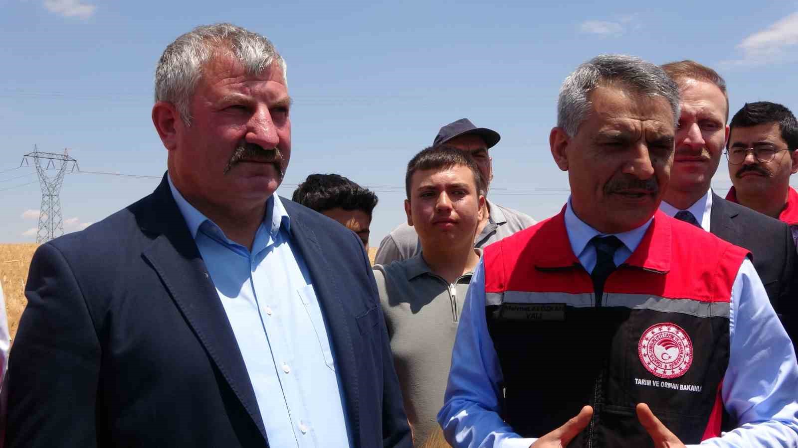 Yozgat’ta arpa hasadı başladı