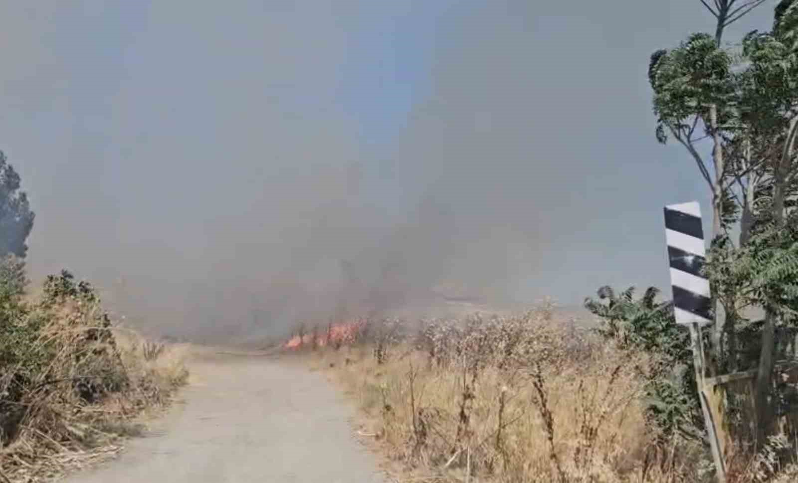 Arazi yangını etrafı küle çevirdi
