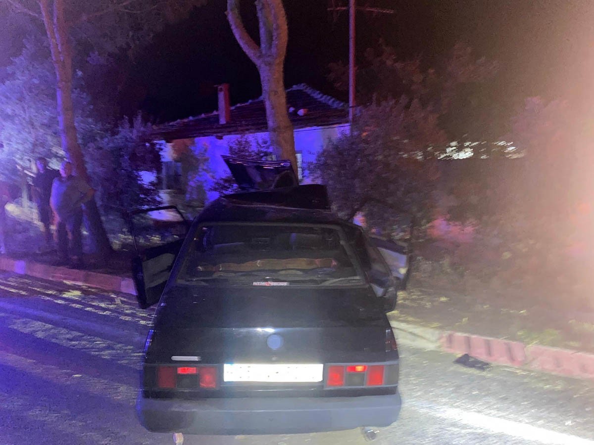 Köpeğe çarpmamak için ağaca çarpan sürücü hayatını kaybettti