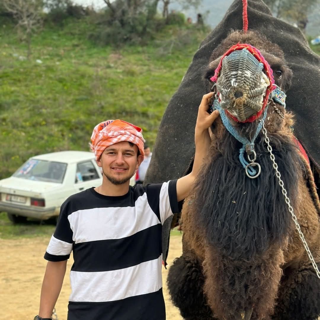 Köpeğe çarpmamak için ağaca çarpan sürücü hayatını kaybettti