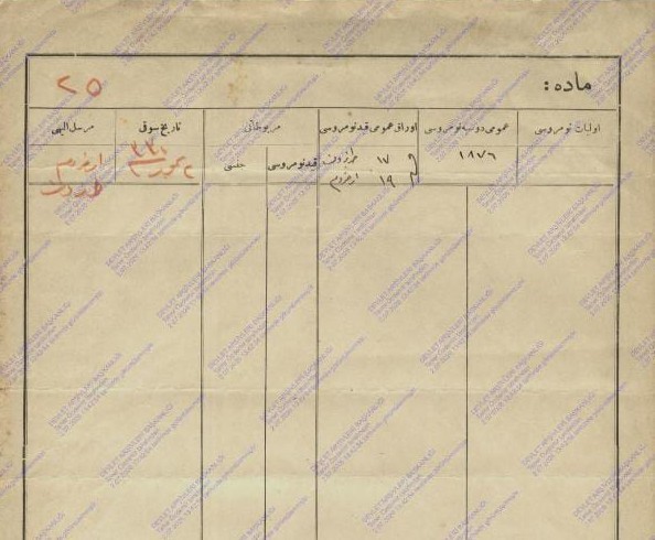 Amerika’nın Erzurum mesaisi: Yüzyıllık belge gün yüzüne çıktı