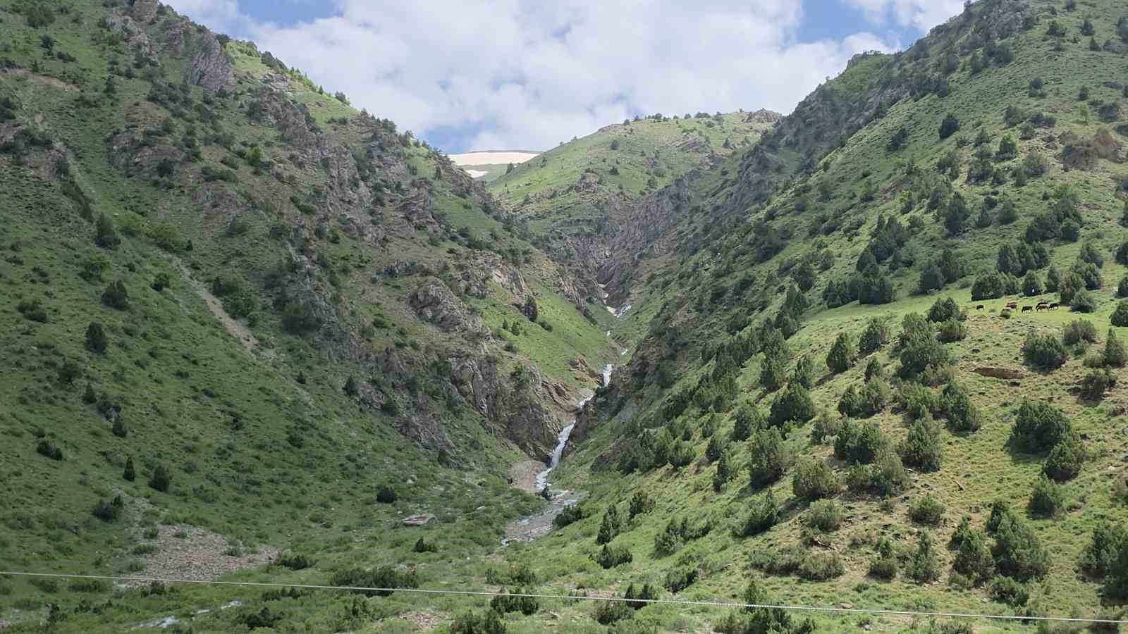 20 yıl sonra yeniden hayat buldu: Çatak’ta kuruyan su kaynağı akmaya başladı