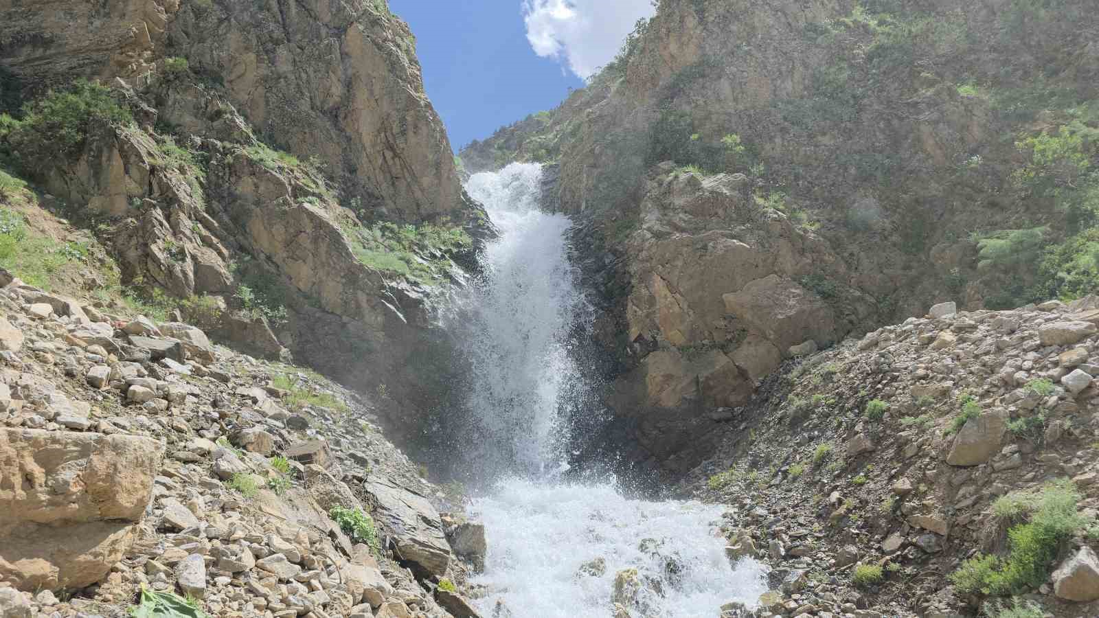 20 yıl sonra yeniden hayat buldu: Çatak’ta kuruyan su kaynağı akmaya başladı