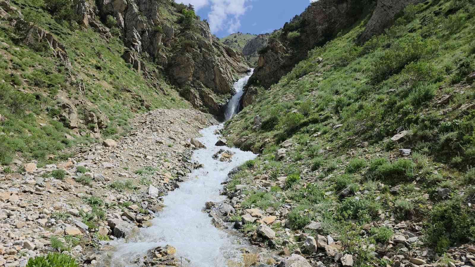 20 yıl sonra yeniden hayat buldu: Çatak’ta kuruyan su kaynağı akmaya başladı