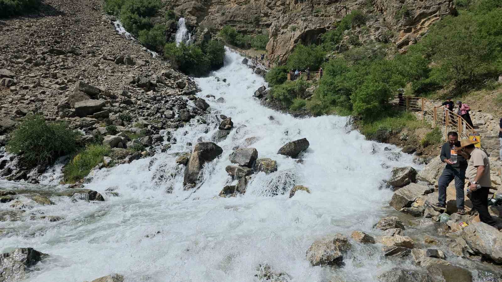 20 yıl sonra yeniden hayat buldu: Çatak’ta kuruyan su kaynağı akmaya başladı