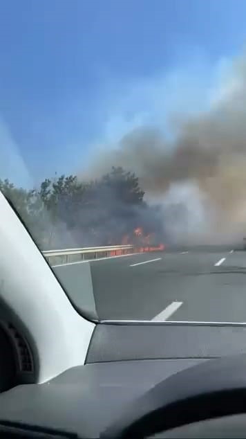 Kestel’de orman yangını: Havadan ve karadan müdahale devam ediyor