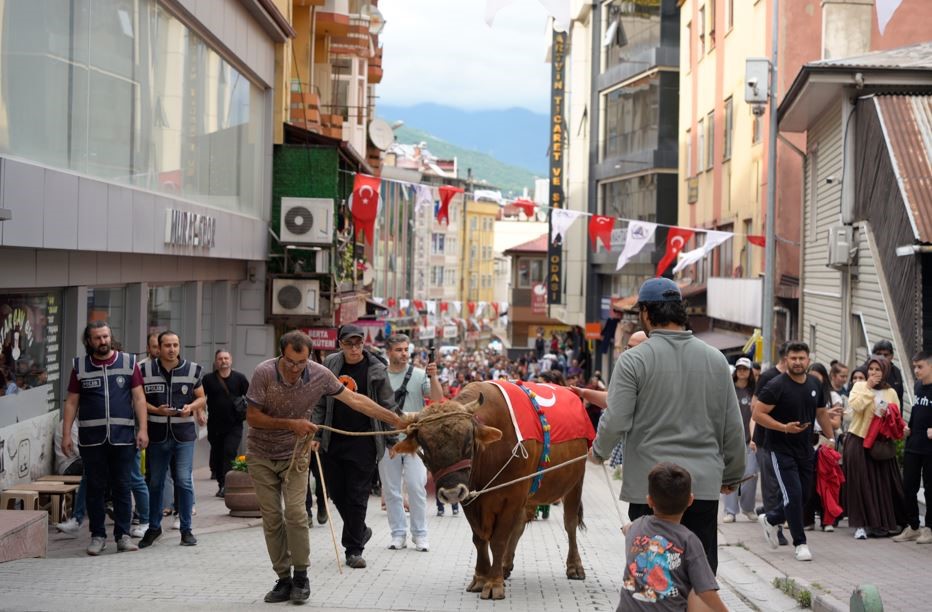 "Kafkasör Festivali" boğalı kortej yürüyüşüyle başladı