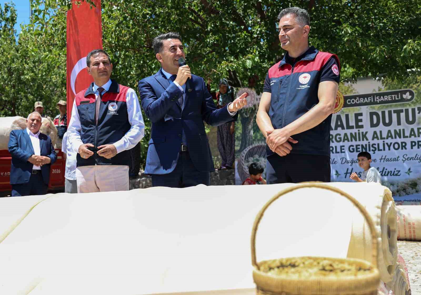 Ulukale dutunda bu yıl 650 ton rekolte beklentisi