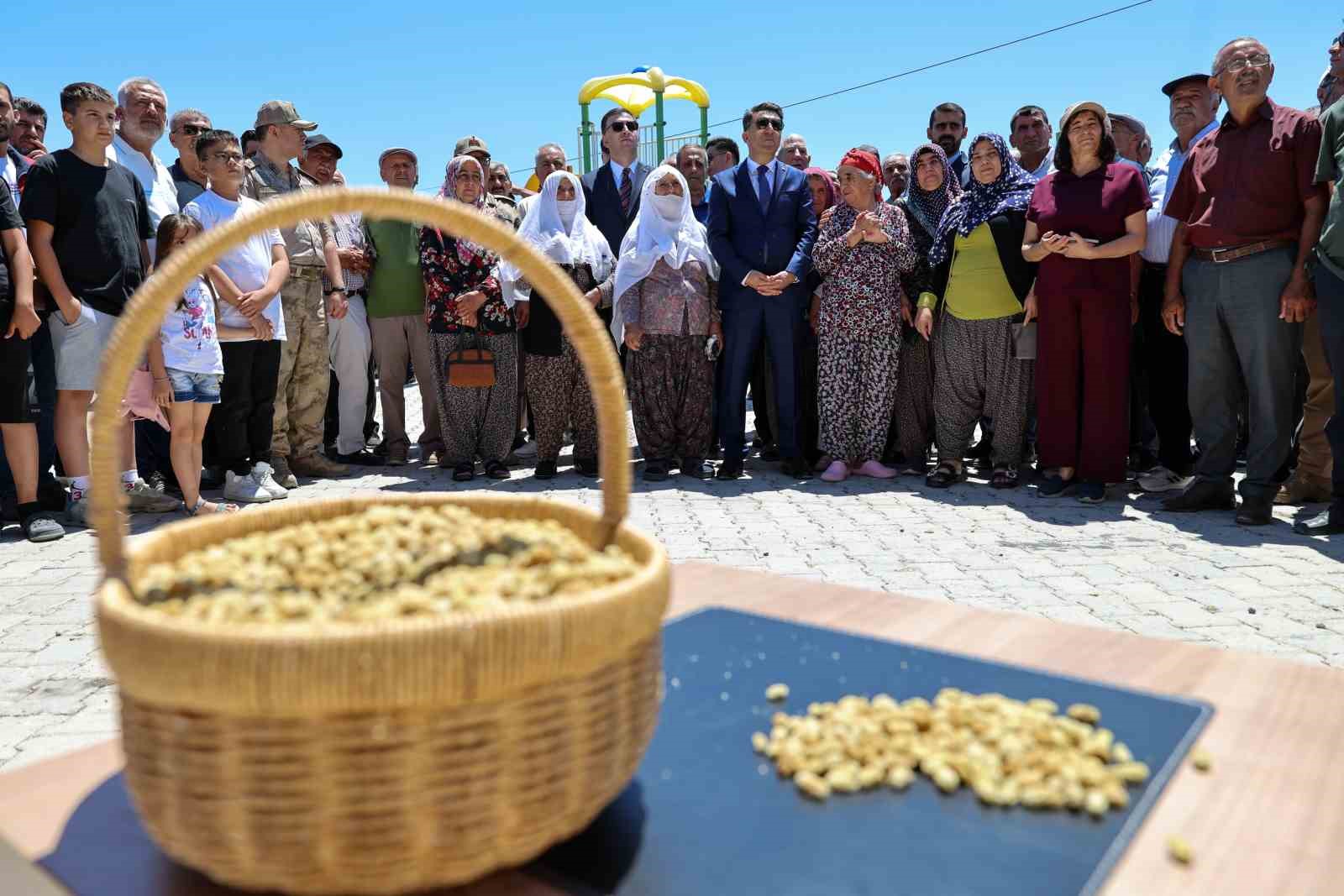 Ulukale dutunda bu yıl 650 ton rekolte beklentisi