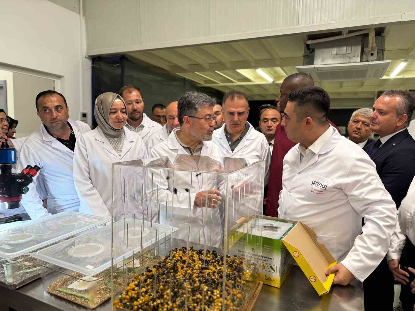 Bakan Yumaklı, Fethiye’de faydalı böcek üretim tesisini inceledi