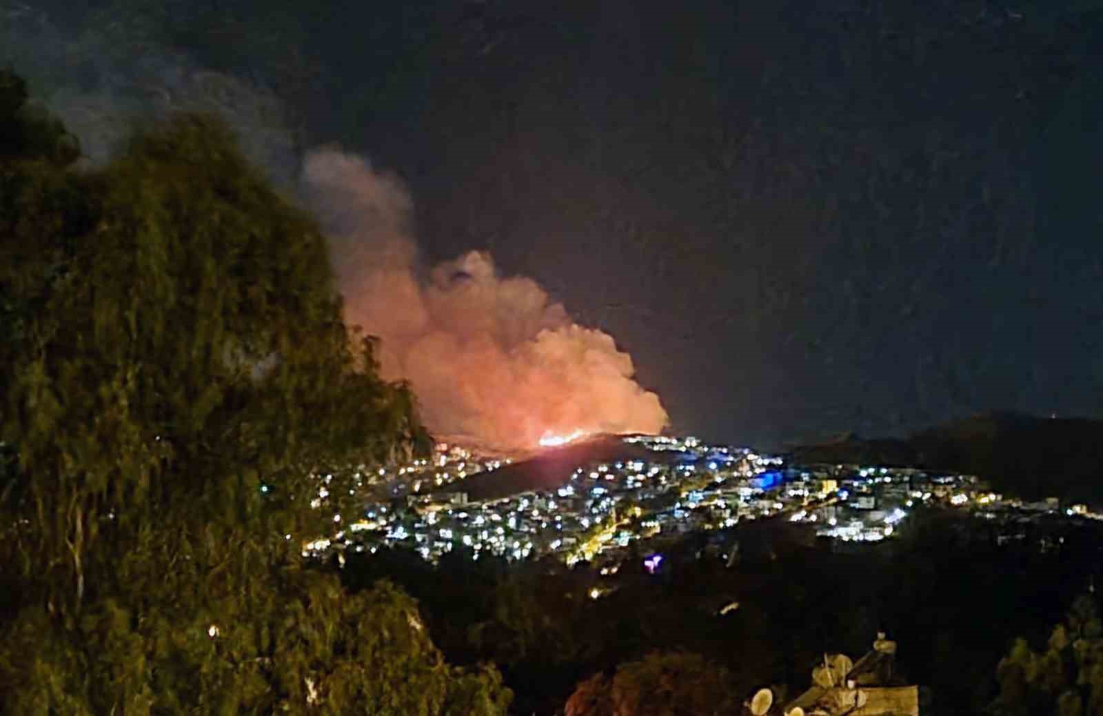 Bodrum’da makilik alanda yangın