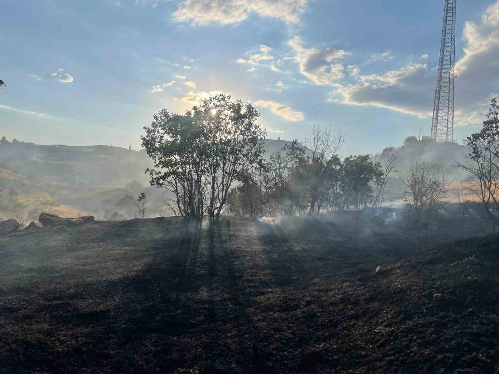 Zirai ve ormanlık alanda çıkan yangın 5 saat sonra söndürüldü