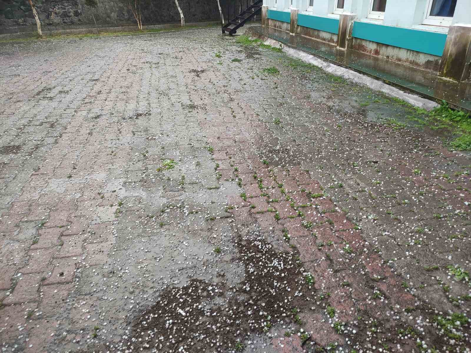 Ardahan’da sağanak ve dolu yağışı tarım arazilerine zarar verdi