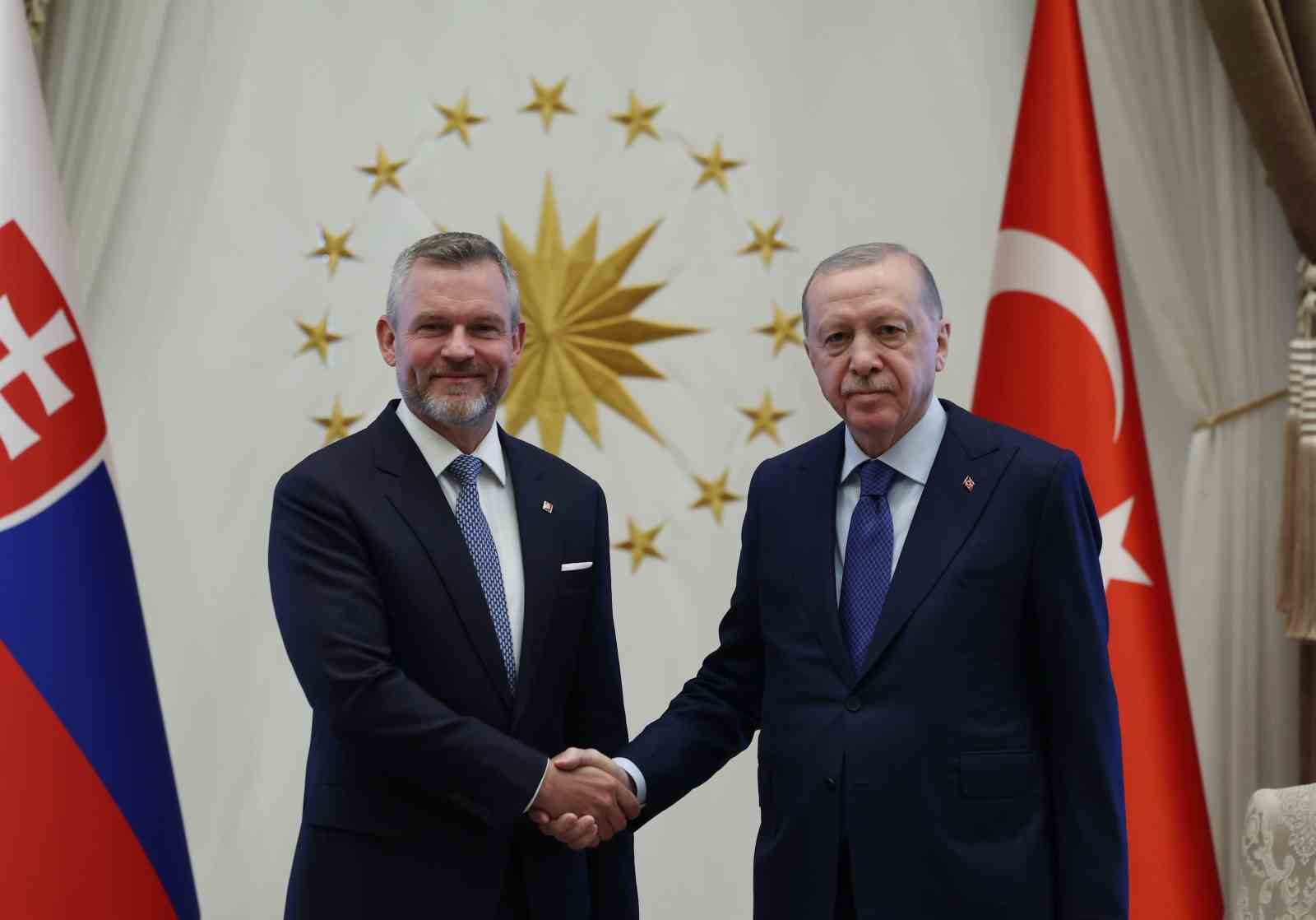 Cumhurbaşkanı Erdoğan, Slovakya Cumhurbaşkanı Pellegrini ile görüştü