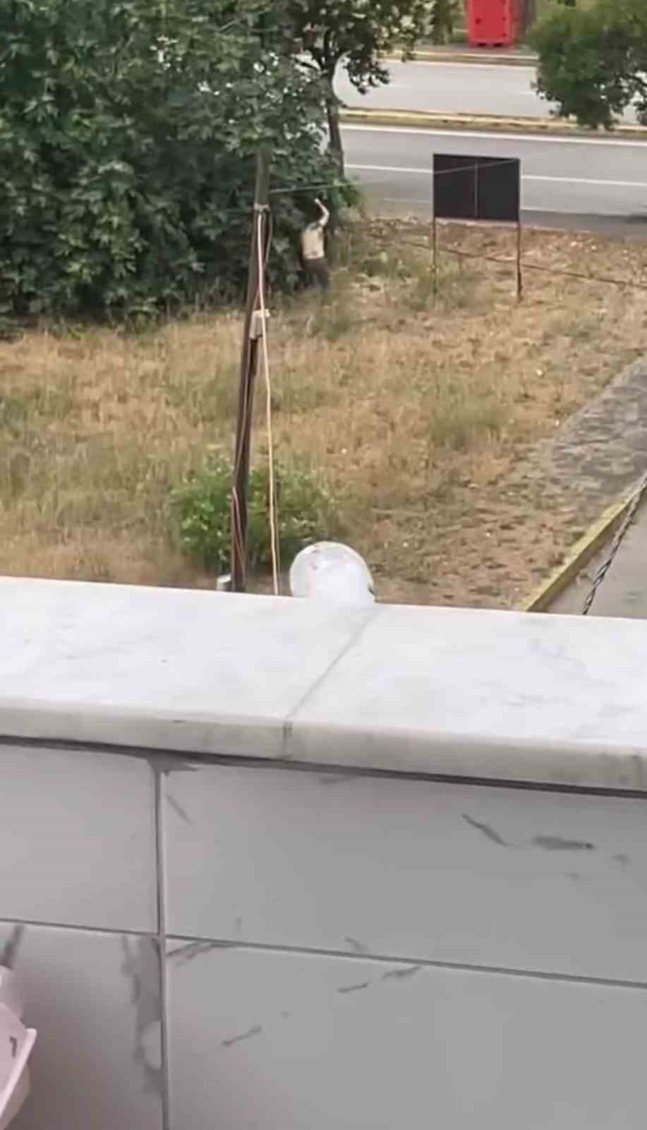 Tartıştığı amcasını palayla öldürdü