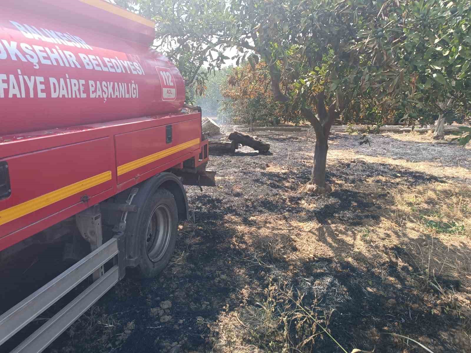 Havran’da zeytinlik yangını