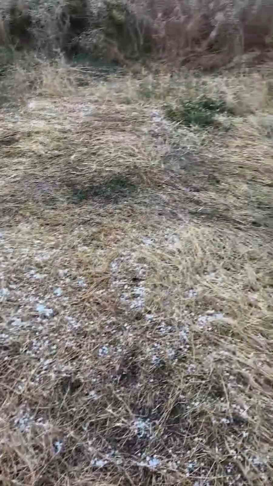 Edirne’de dolu yağışı etkili oldu