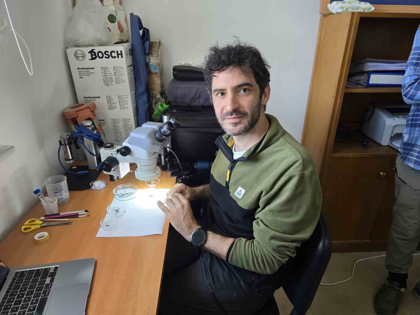 Geç Bronz Çağı’ndan Milenyum Çağına yeşil mercimeğin ana vatanı Yozgat