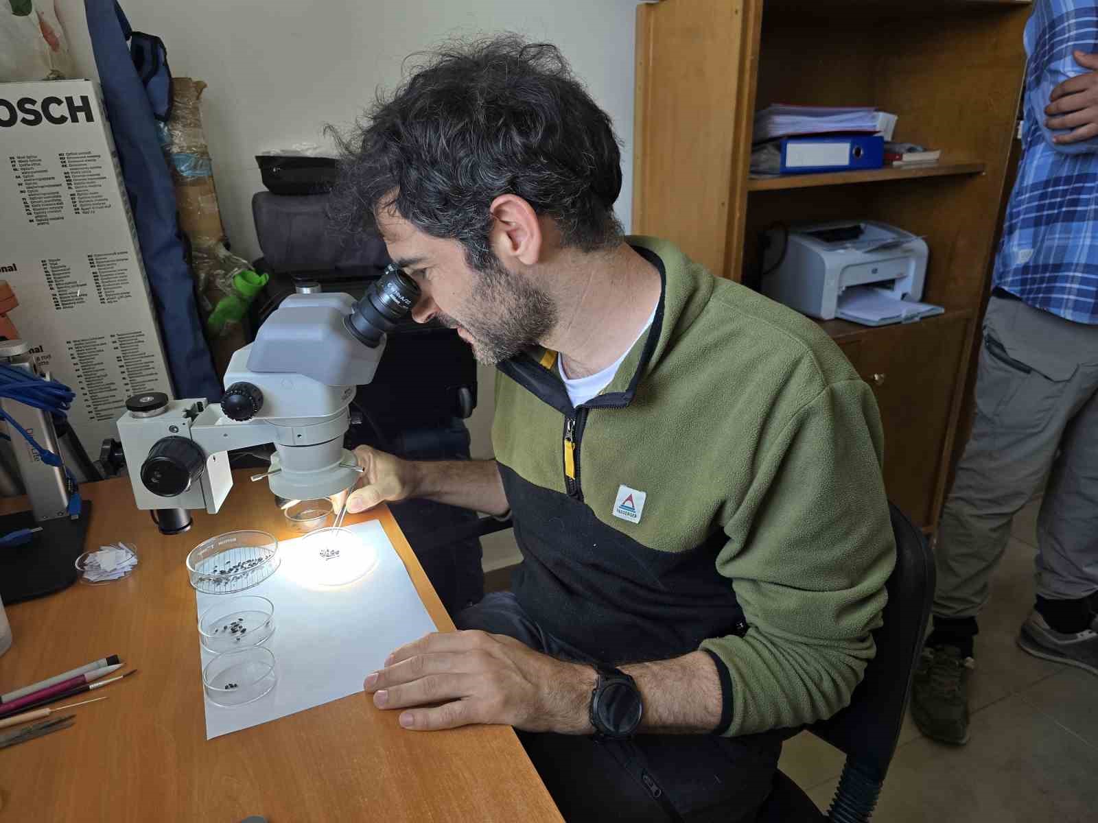 Geç Bronz Çağı’ndan Milenyum Çağına yeşil mercimeğin ana vatanı Yozgat