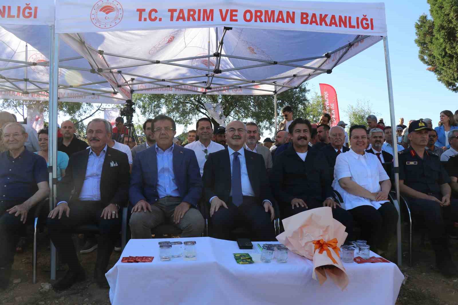 Kekiğin ambarında ilk orak vuruldu