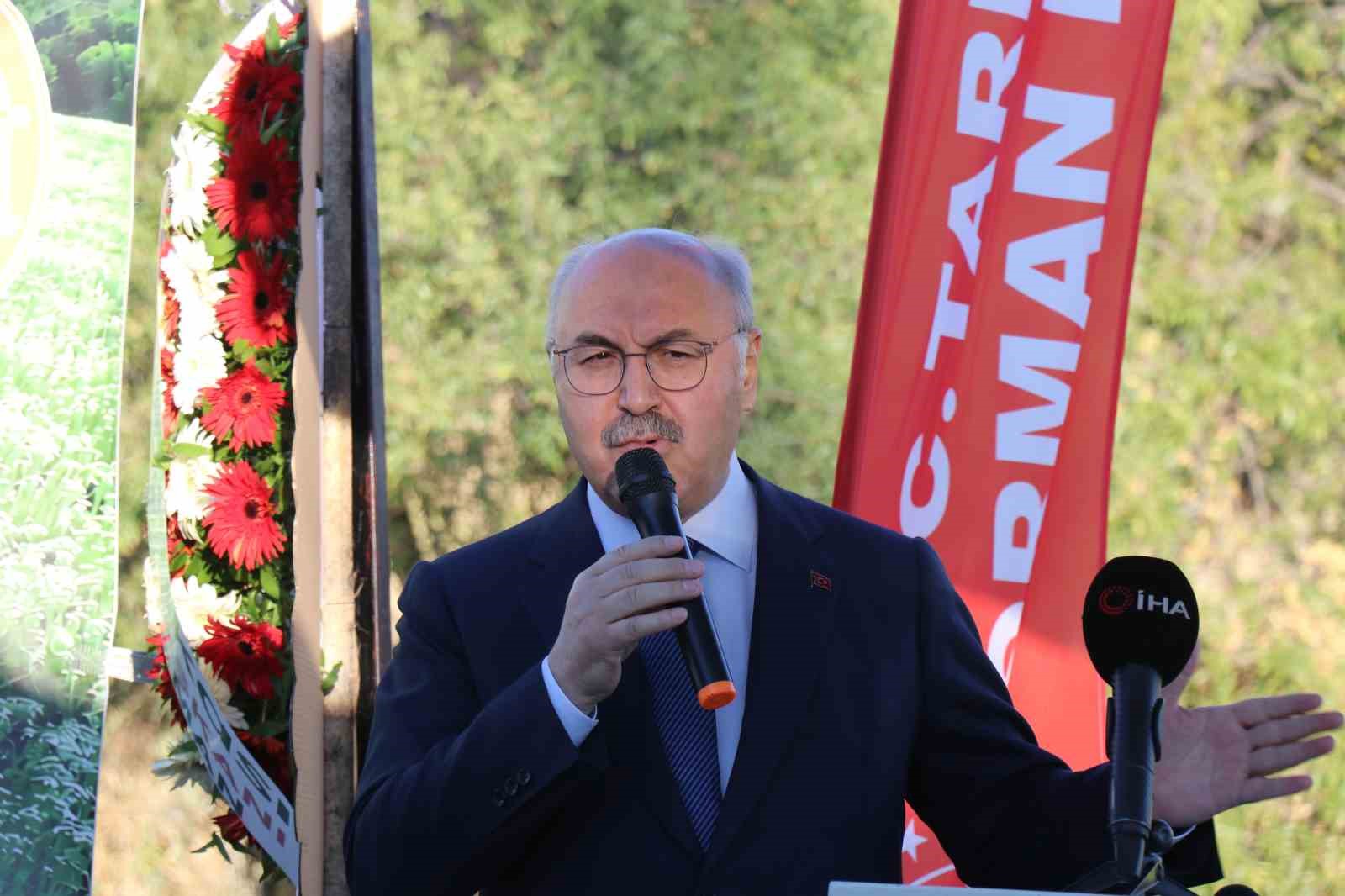 Kekiğin ambarında ilk orak vuruldu