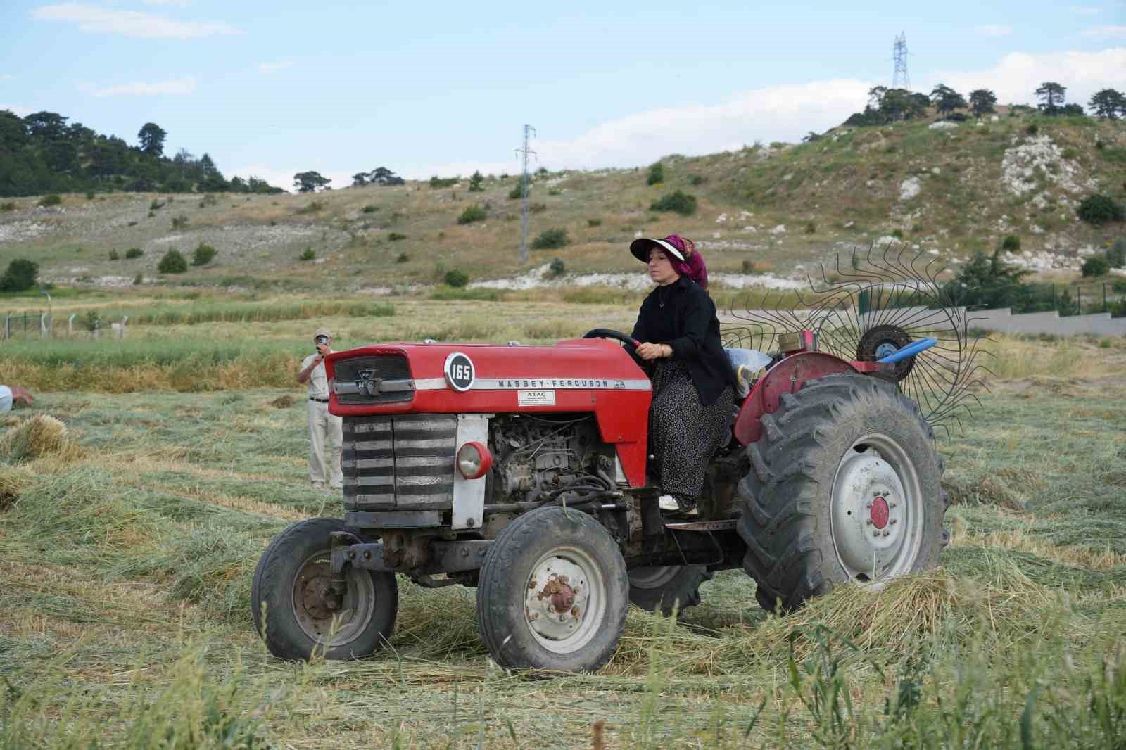 Resim tutkusu engel tanımadı: Saçından fırça, kömürden boya yaptı