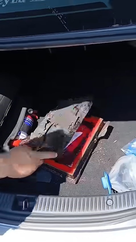Yangında her şey kül oldu, Kur’an-ı Kerim ve Türk bayrağı zarar görmedi