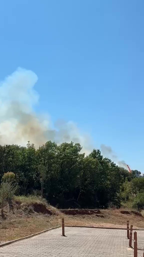 Kestel’deki orman yangını söndürüldü