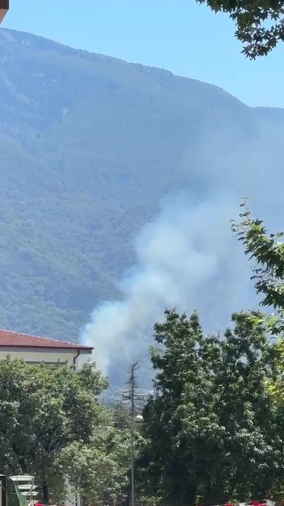 Kestel’deki orman yangını söndürüldü