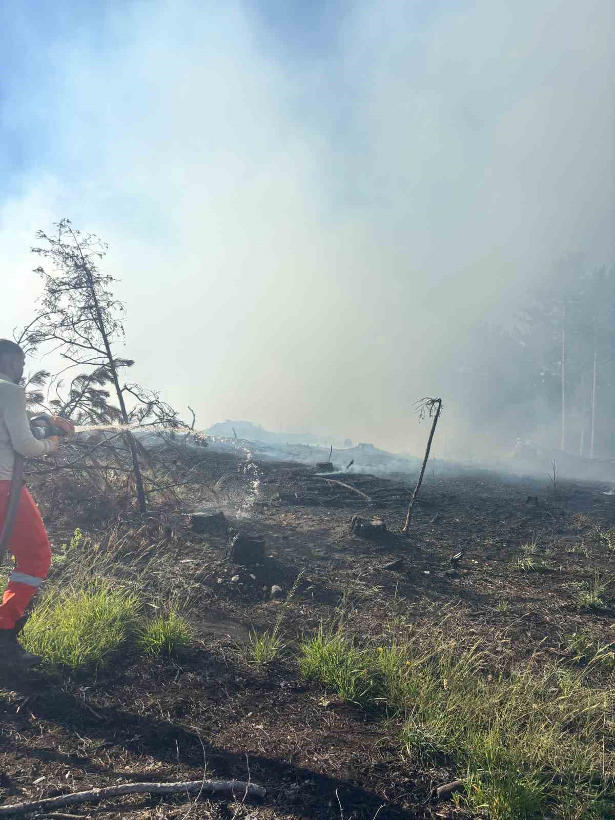 Araç yangını ormanlık alana sıçradı, ekipler alevleri büyümeden söndürdü
