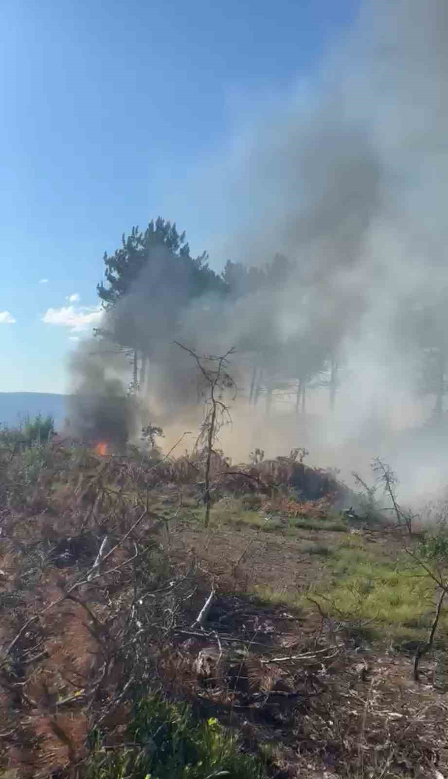 Araç yangını ormanlık alana sıçradı, ekipler alevleri büyümeden söndürdü