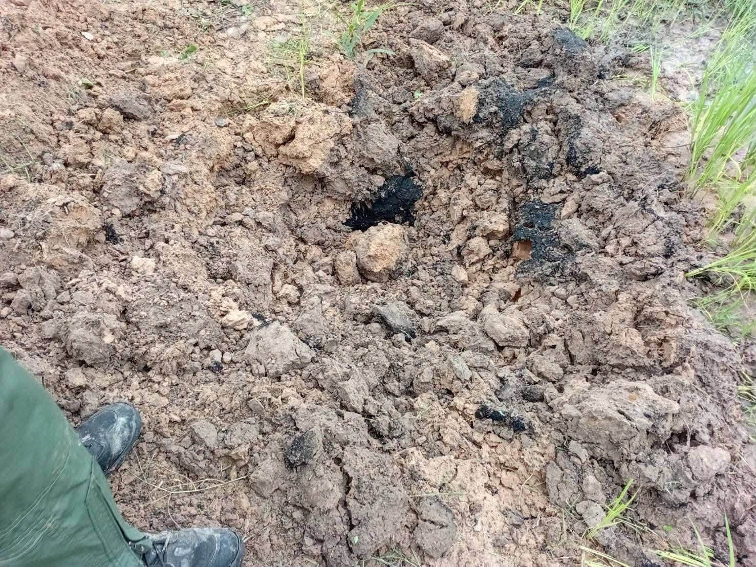 Tayland’da evcil köpek, eve el bombası getirdi