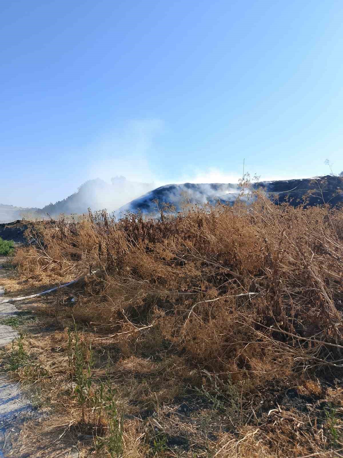 Susurluk’ta otluk alanda çıkan yangın söndürüldü