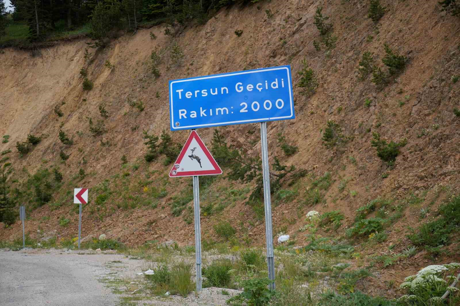 Akademisyenlerden Tersun Dağı Tüneli raporu