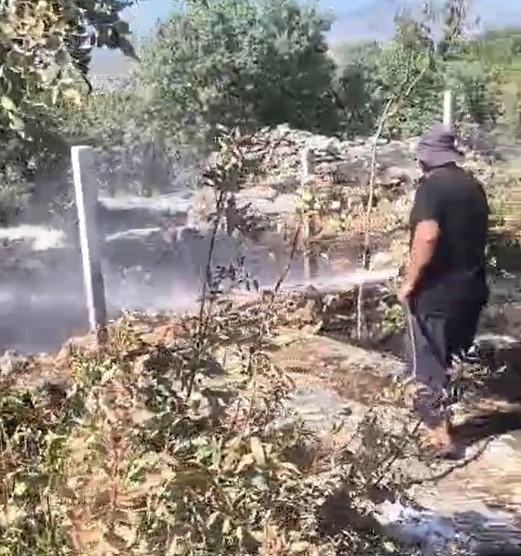 Dicle’de örtü yangını: Onlarca meyve ağacı alevlere teslim oldu
