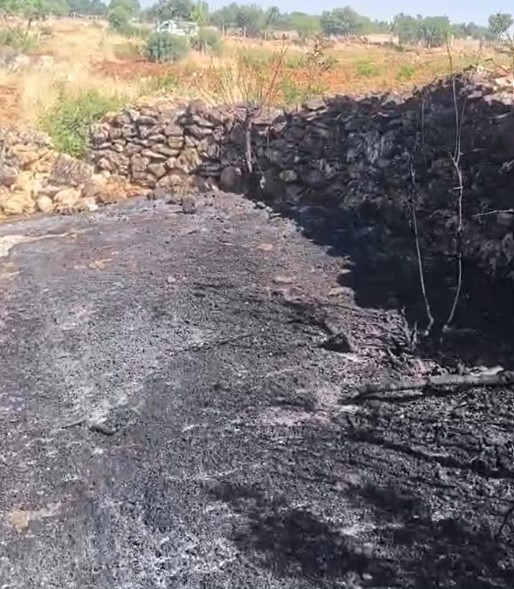 Dicle’de örtü yangını: Onlarca meyve ağacı alevlere teslim oldu