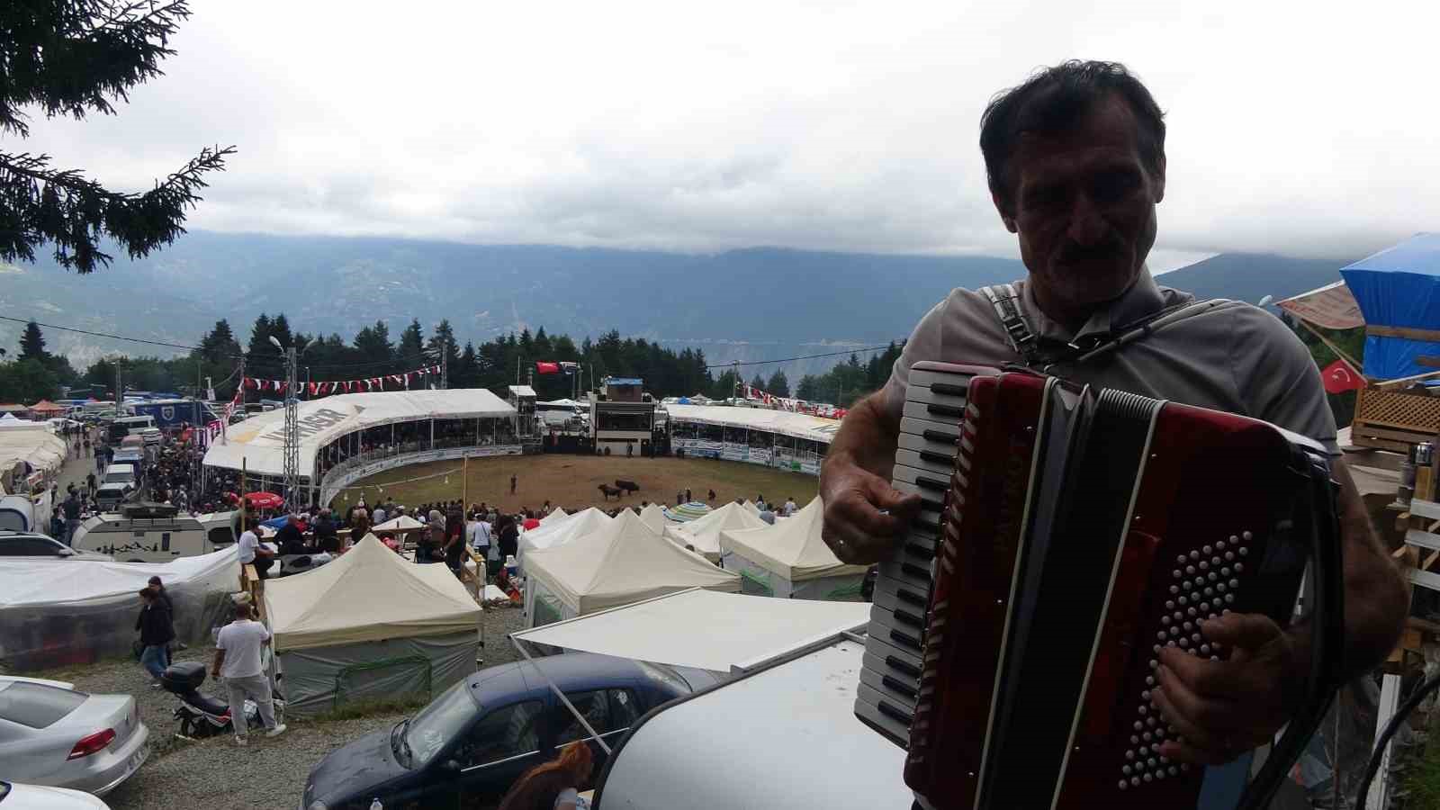 Artvin’in Kafkasör Yaylası’nda boğaların 45. randevusu nefes kesti
