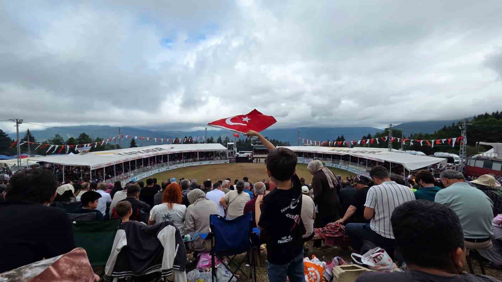 Artvin’in Kafkasör Yaylası’nda boğaların 45. randevusu nefes kesti