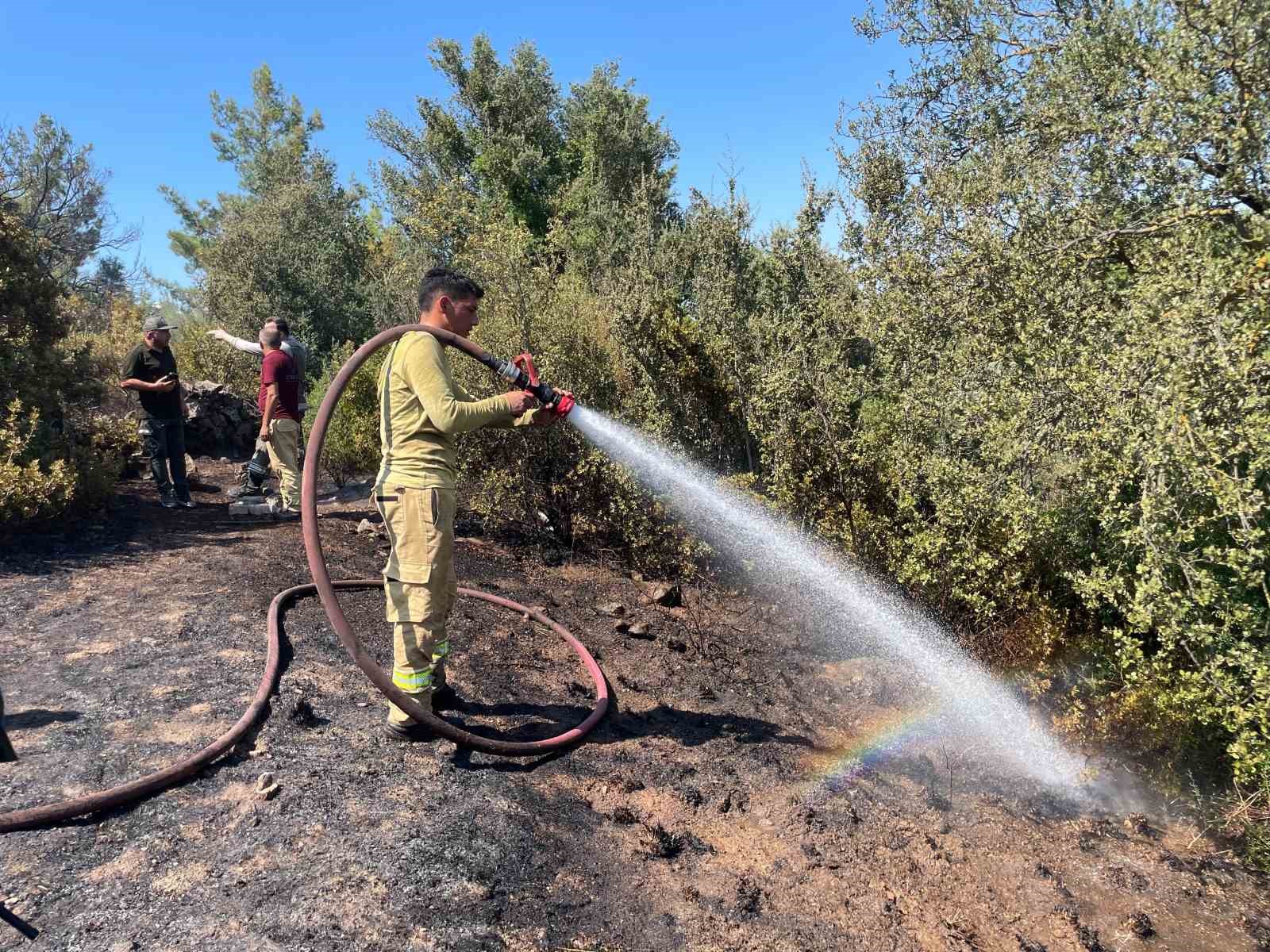 Yerleşim yerlerine yakın makilik alandaki yangın korkuttu
