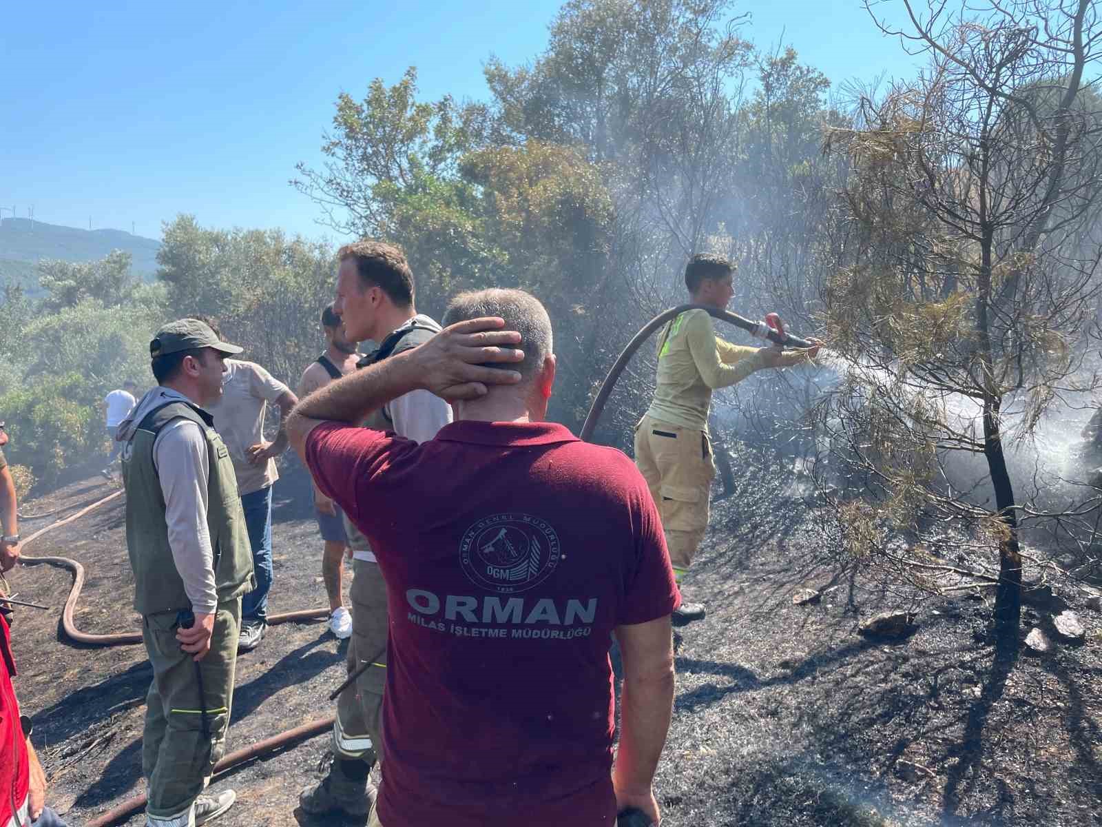 Yerleşim yerlerine yakın makilik alandaki yangın korkuttu
