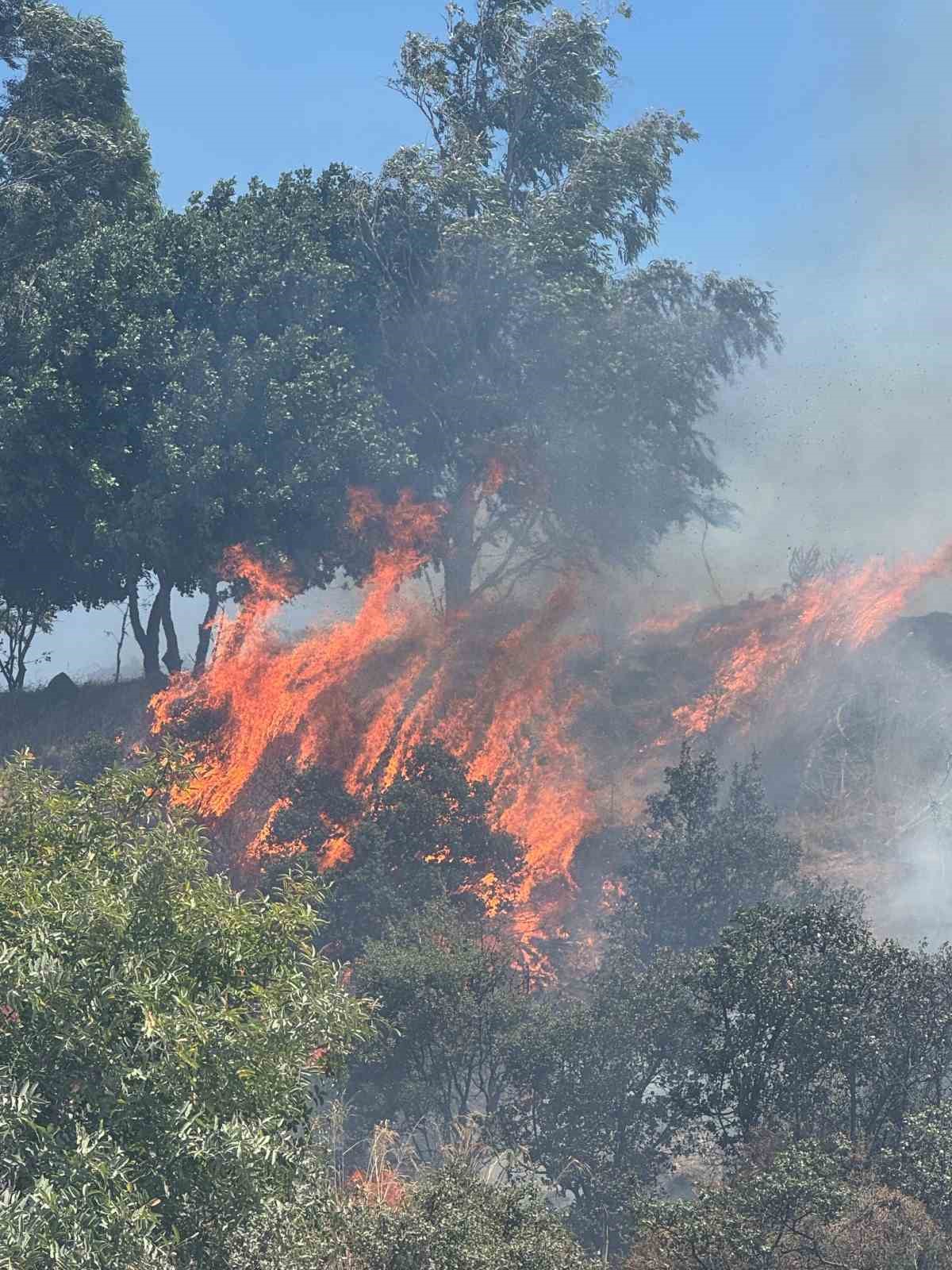 Yerleşim yerlerine yakın makilik alandaki yangın korkuttu