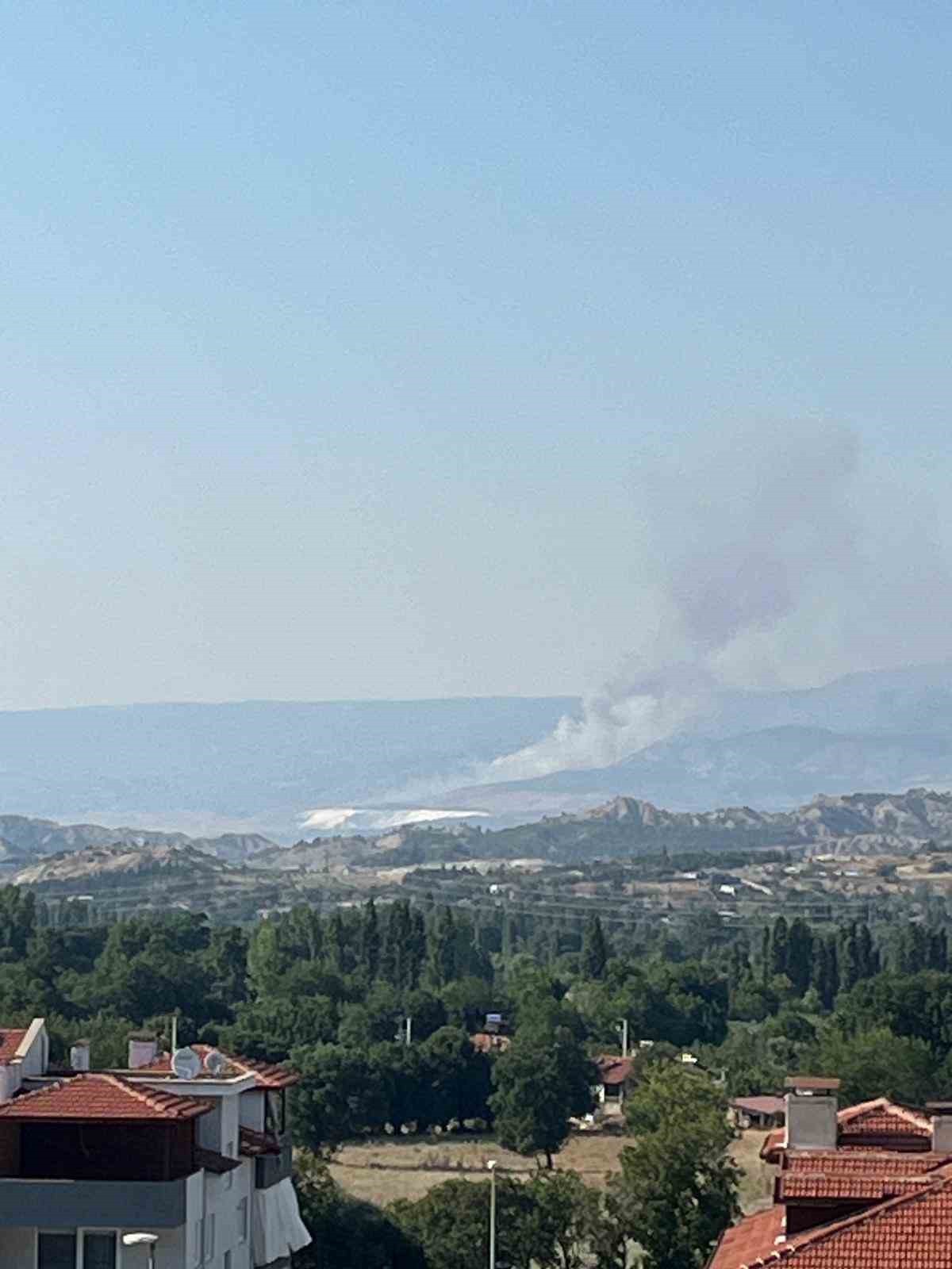 Hierapolis Antik Kent yakınında örtü yangını