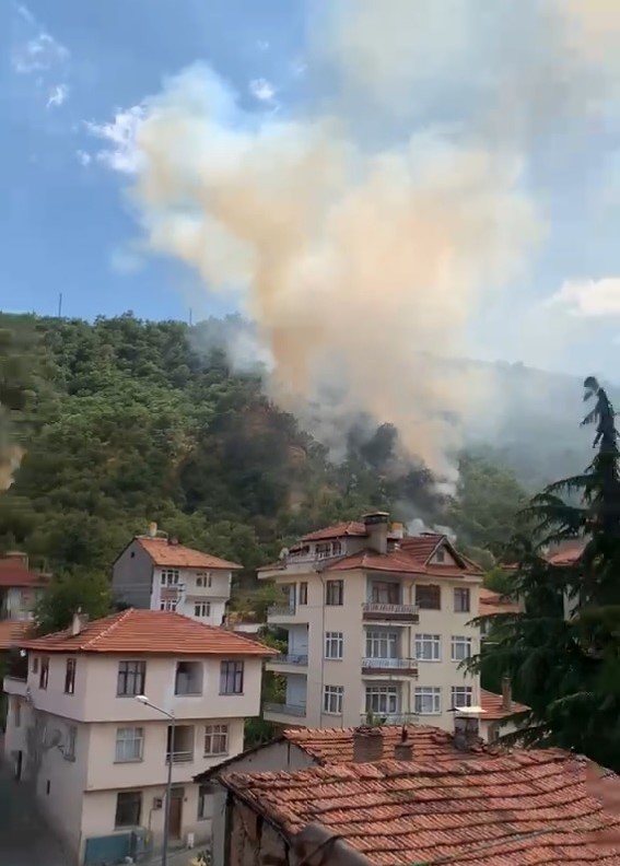 Kastamonu’da orman yangınında 40 dönümlük alan zarar gördü