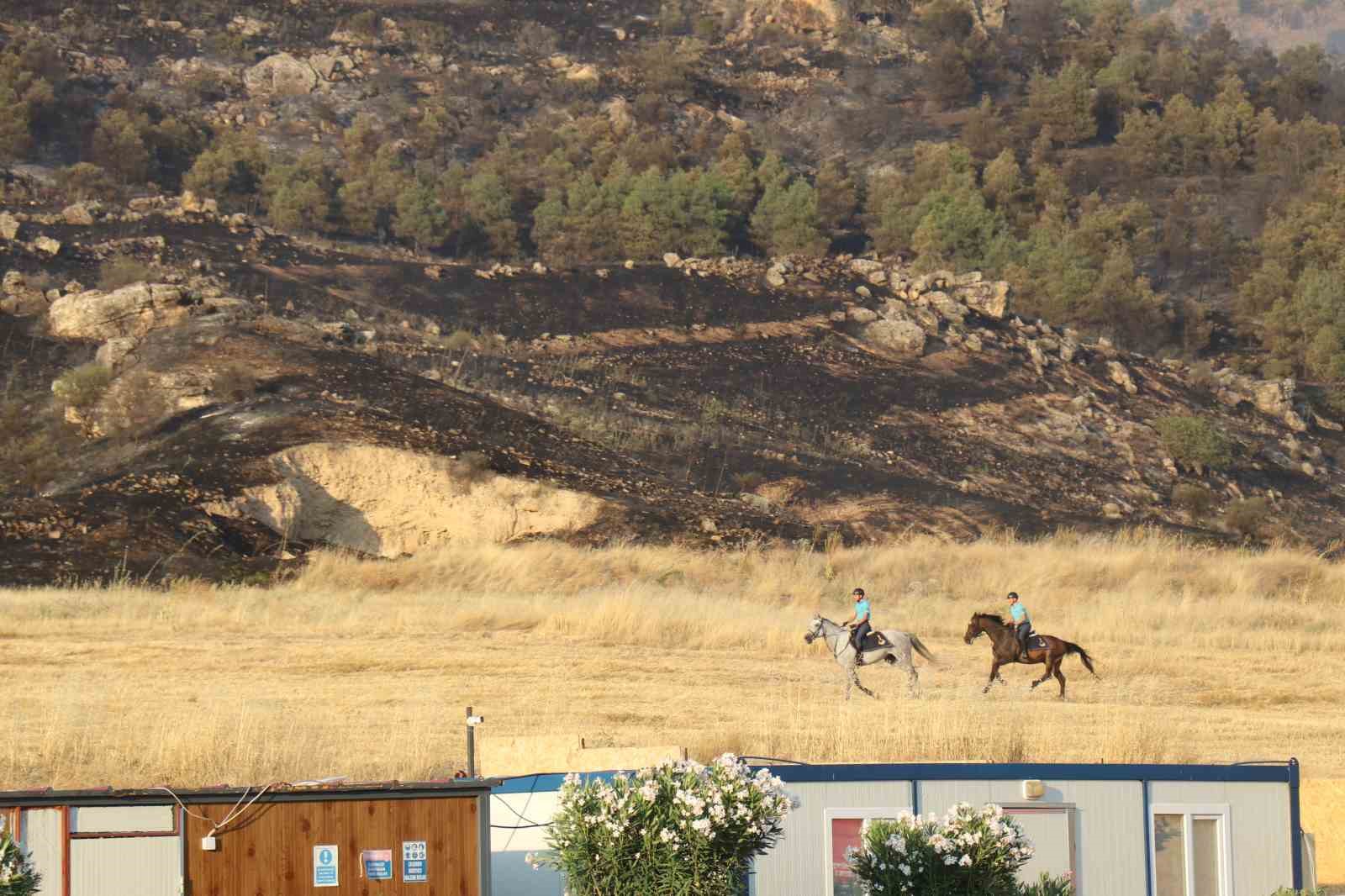 Dünyaca ünlü travertenlerin yakınındaki ormanlık alanda yangın
